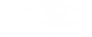 Gökbağ Tasarım, Gaziantep’te logo tasarımı, web tasarım ve SEO hizmetleri sunuyor. Markanızı dijital dünyada öne çıkarın.
