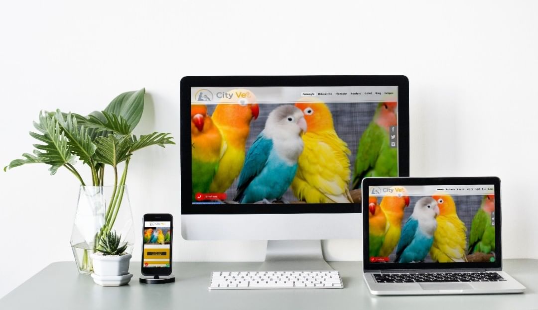 gaziantep web tasarım,gaziantep seo