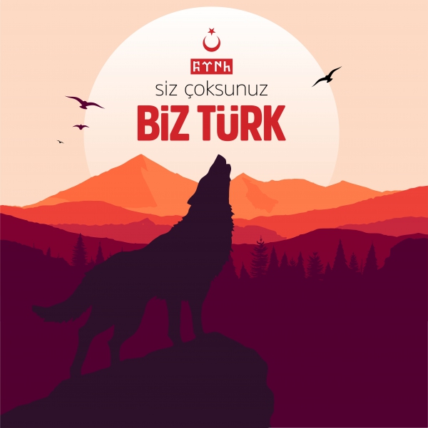 Sosyal Medya Paylaşımları