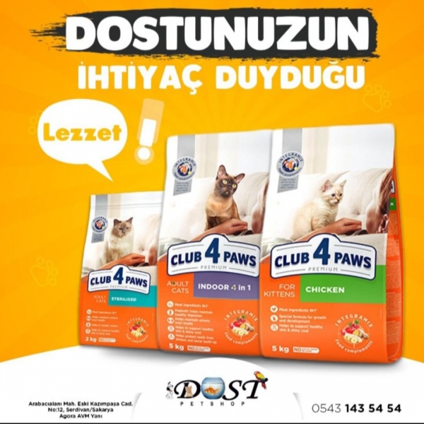 Sosyal Medya Paylaşımları