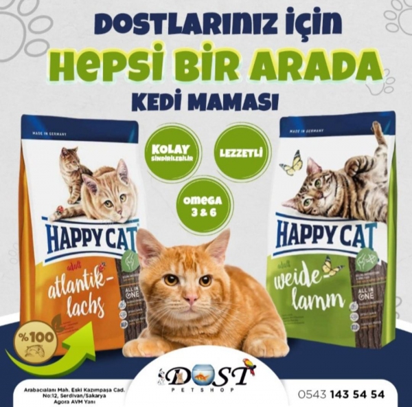 Sosyal Medya Paylaşımları