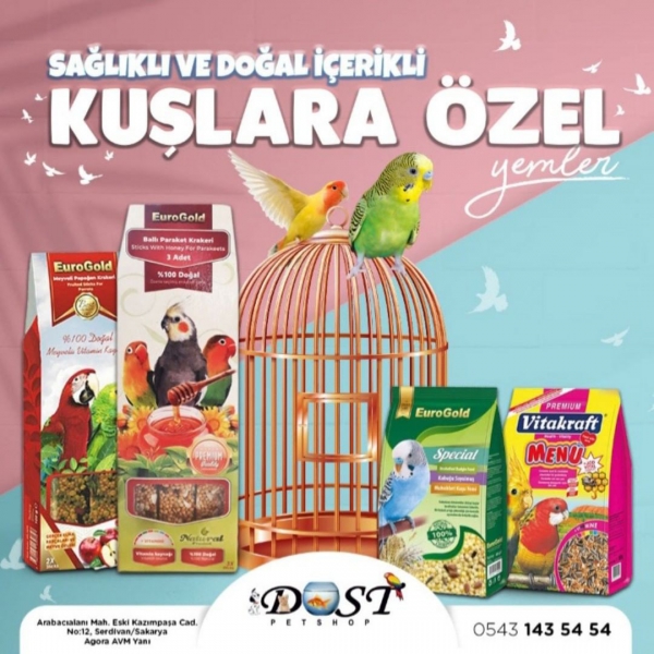 Sosyal Medya Paylaşımları