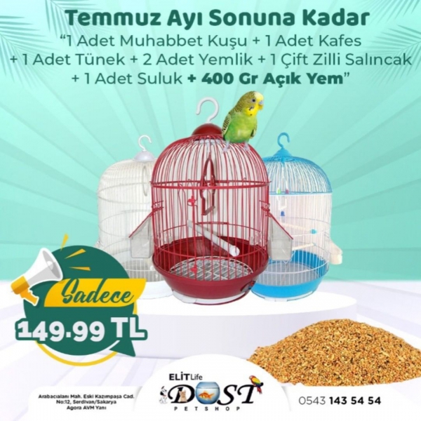 Sosyal Medya Paylaşımları