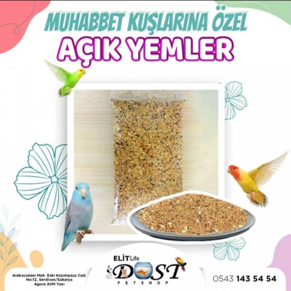 Sosyal Medya Paylaşımları