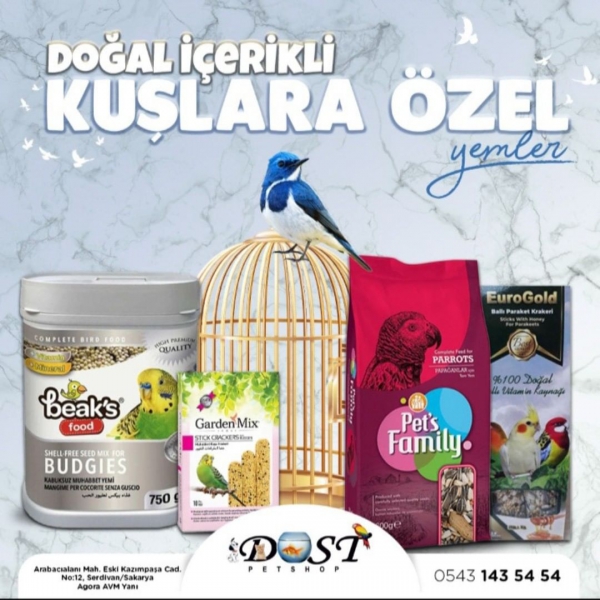 Sosyal Medya Paylaşımları